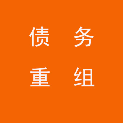 施秉个人债务重组优化